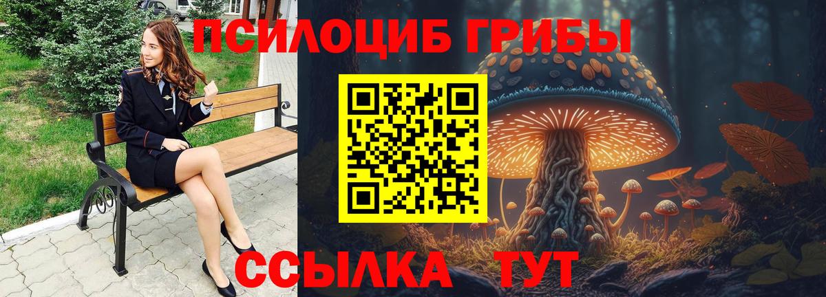 Череповец  Псилоцибиновые грибы мицелий  Вход с VPN 