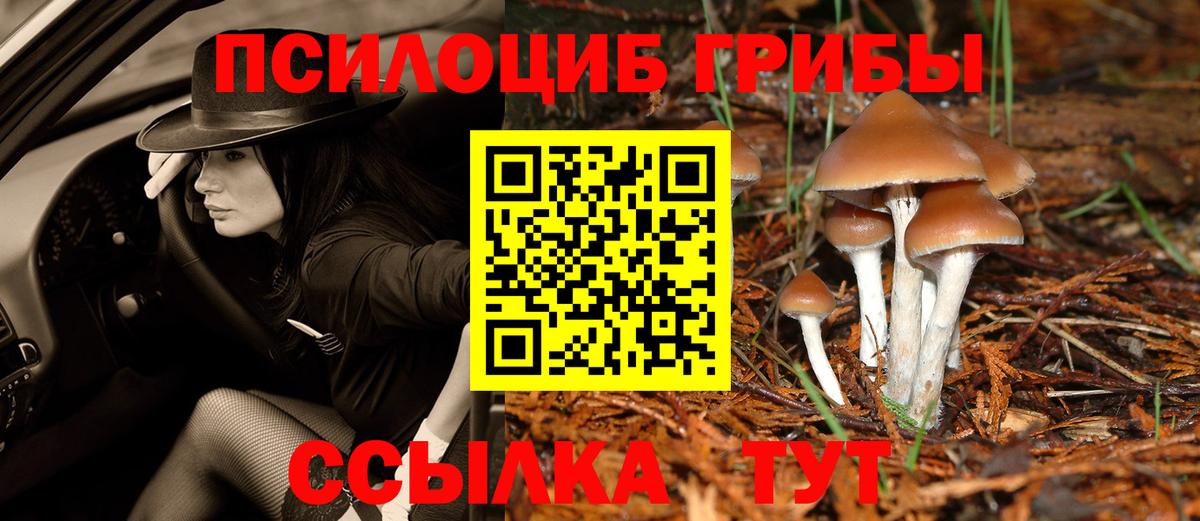 Галлюциногенные грибы мицелий Череповец